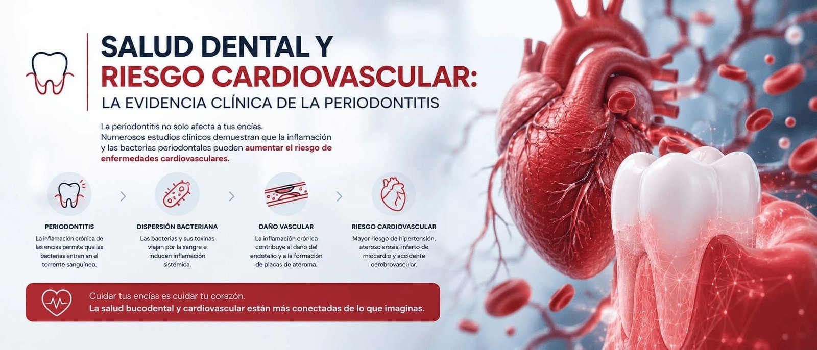 Relación entre salud dental y riesgo cardiovascular